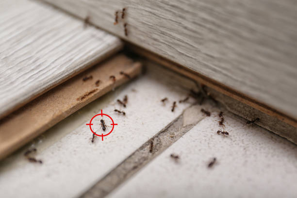 Best Wildlife Control Services  in Overland Park, KS