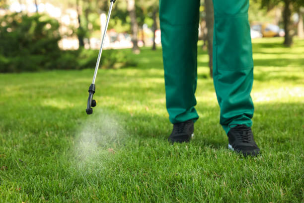 Best Exterminator Services  in Overland Park, KS