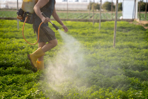Best Pest Prevention Services  in Overland Park, KS