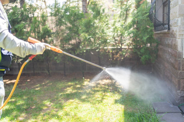 Professional Pest Control in Overland Park, KS
