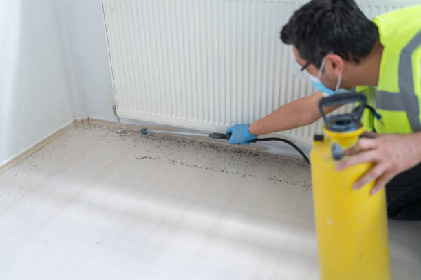 Best Rat Extermination Near Me  in Overland Park, KS